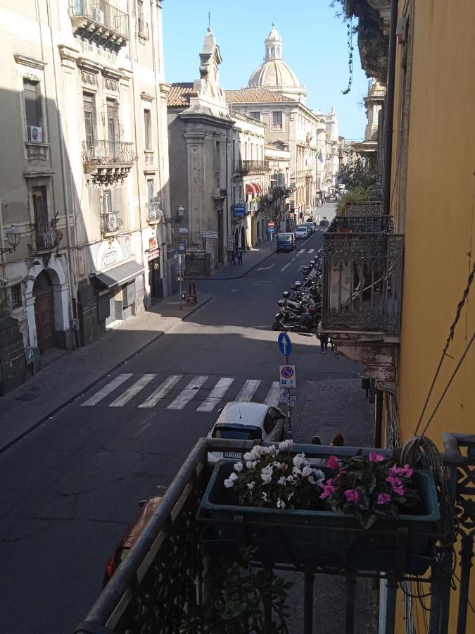 Bed And Books Isabella Bed & Breakfast Catania Bagian luar foto
