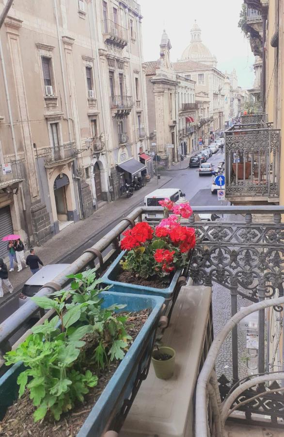 Bed And Books Isabella Bed & Breakfast Catania Bagian luar foto